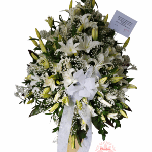 Flor de Tu Ausencia 023