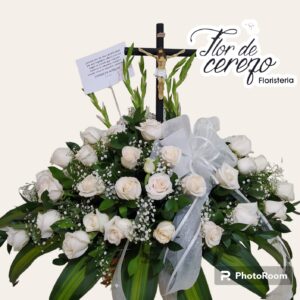 Paz y Memoria 019
