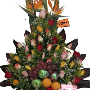 Arcoíris Tropical 126