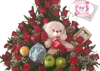 Regalo Vital 128